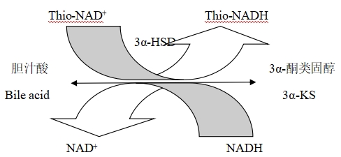 總膽汁酸測定試劑注冊技術審查指導原則(2020年第14號)(圖1) 總膽汁酸測定試劑注冊技術審查指導原則(2020年第14號)(圖1)