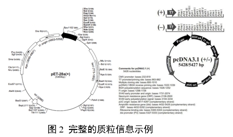 重組人源化膠原蛋白原材料評價指導(dǎo)原則(2023年第16號)(圖6) 重組人源化膠原蛋白原材料評價指導(dǎo)原則(2023年第16號)(圖6)