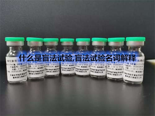臨床試驗(yàn)盲法試驗(yàn)名詞解釋-什么情況下可以揭盲？