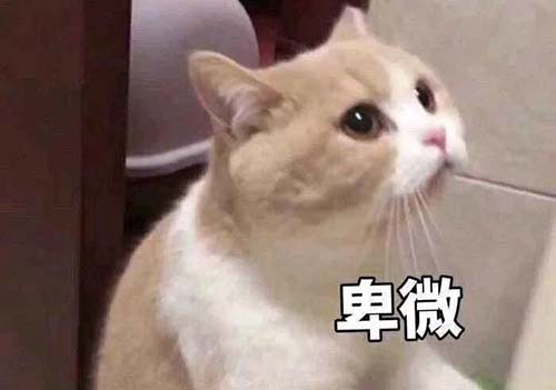 無經(jīng)驗怎么入行CRA？入行CRA的硬性條件有哪些？(圖3)