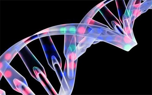 生物相容性是什么意思？怎么判斷醫(yī)療器械要做哪些生物相容性測試項目？(圖1)