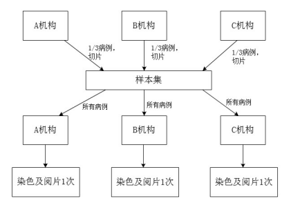 PD-L1檢測試劑臨床試驗—結(jié)果重現(xiàn)性研究注冊審查指導原則（2022年第27號）(圖2)