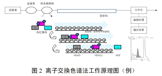 糖化血紅蛋白分析儀注冊(cè)審查指導(dǎo)原則(2022年第35號(hào))(圖2) 糖化血紅蛋白分析儀注冊(cè)審查指導(dǎo)原則(2022年第35號(hào))(圖2)